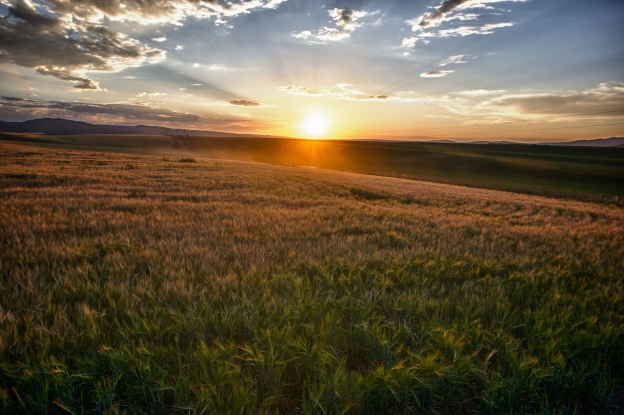 Weather to become more dry and settled this week
