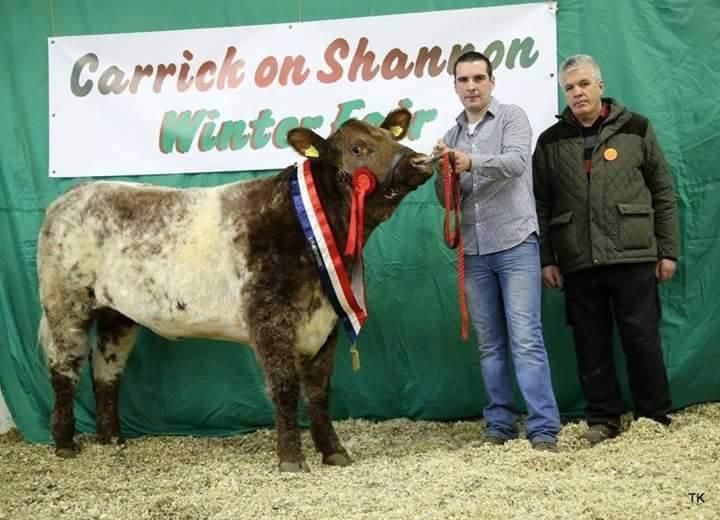 Youngest ever president appointed to the Irish Shorthorn Society