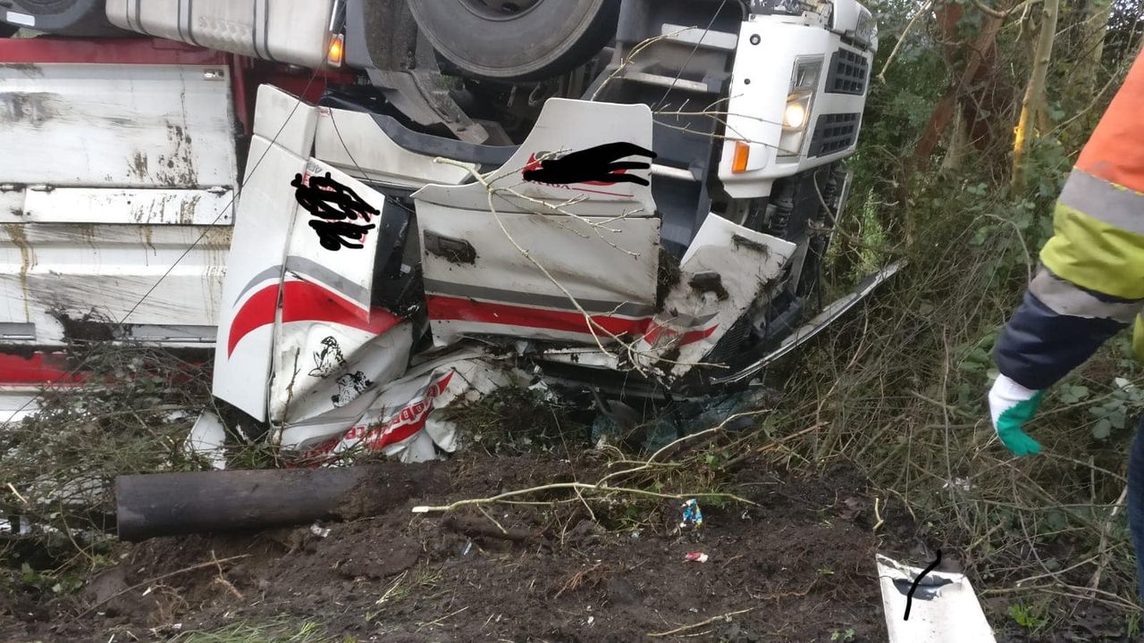 40 cattle freed from overturned lorry in Northern Ireland