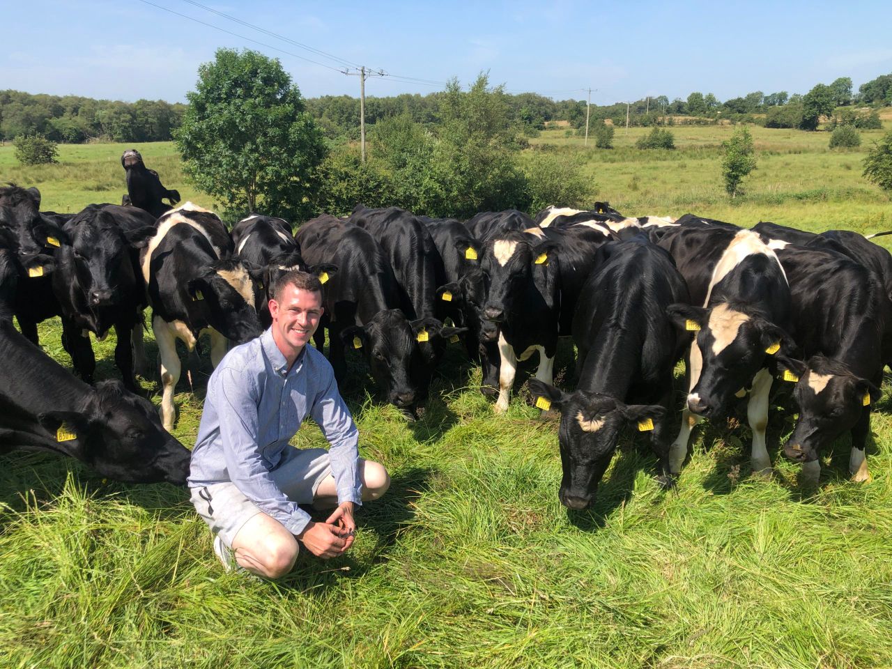 Beef Focus: Cavan calf-to-beef farm gaining momentum