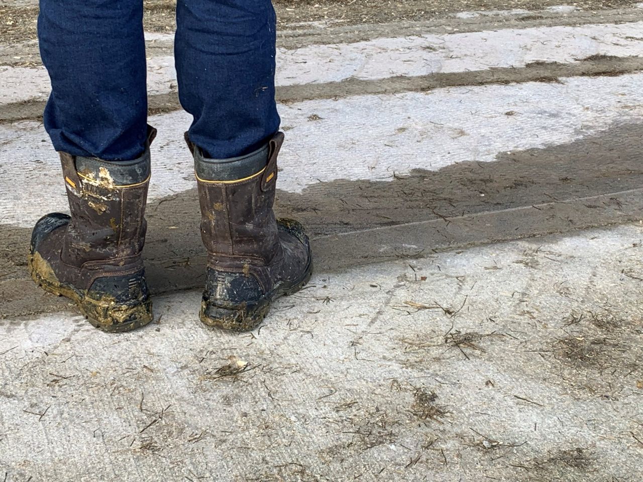Abbeyfeale Mart to reopen this weekend after 'severe flooding'
