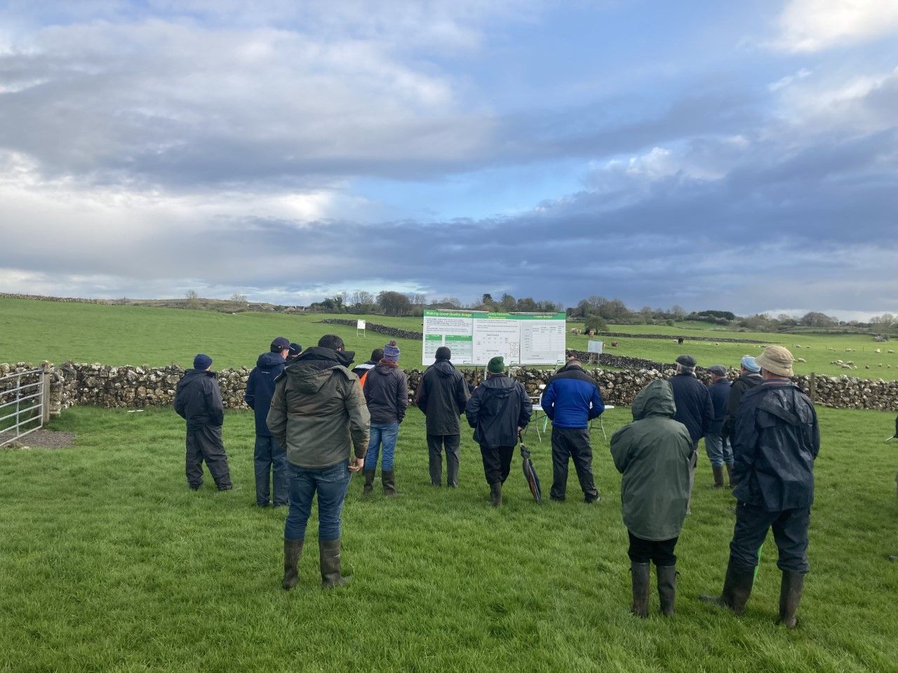 'Quality over quantity when it comes to silage'