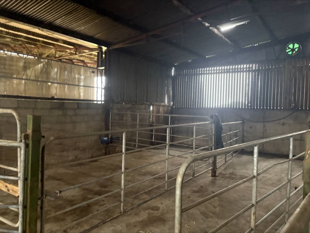 Existing sheds on farms can be retrofitted with effective calf-rearing facilities