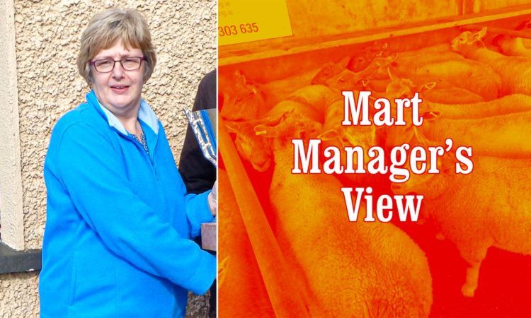 'Farmers were very keen for store cattle this week' - Eilish Curley