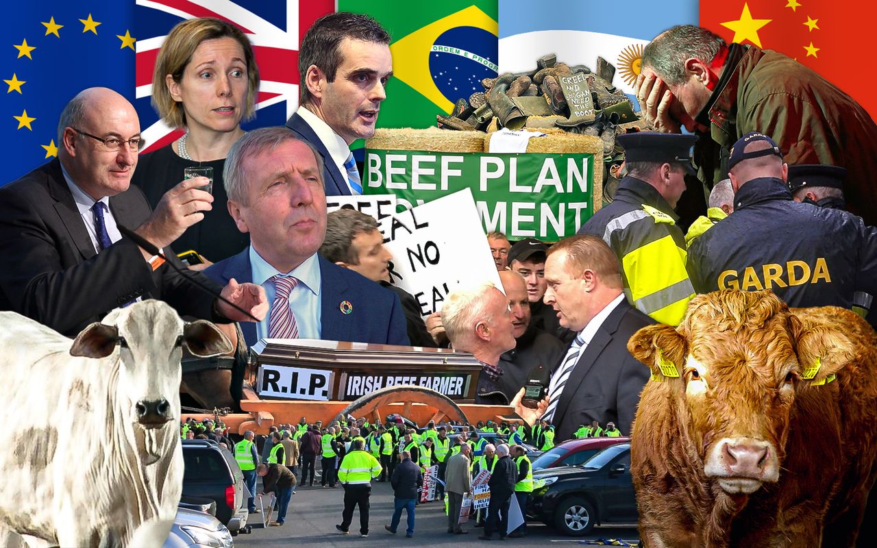 Beef Industry Review: Where to in 2020?