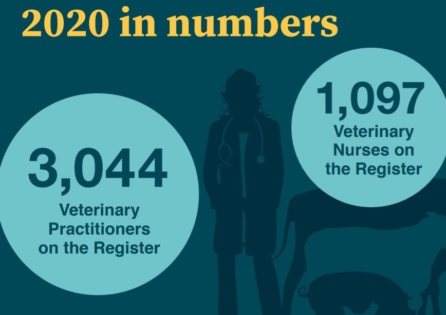 Veterinary Council of Ireland received 38 complaints in 2020