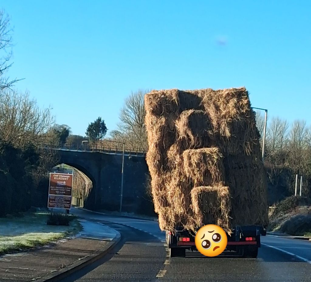 Another image of the trailer. Source: An Garda Síochána Kilkenny's Facebook