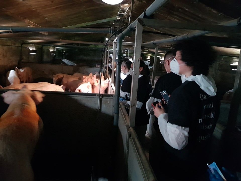 Advice issued on preparing for activist activity on farms