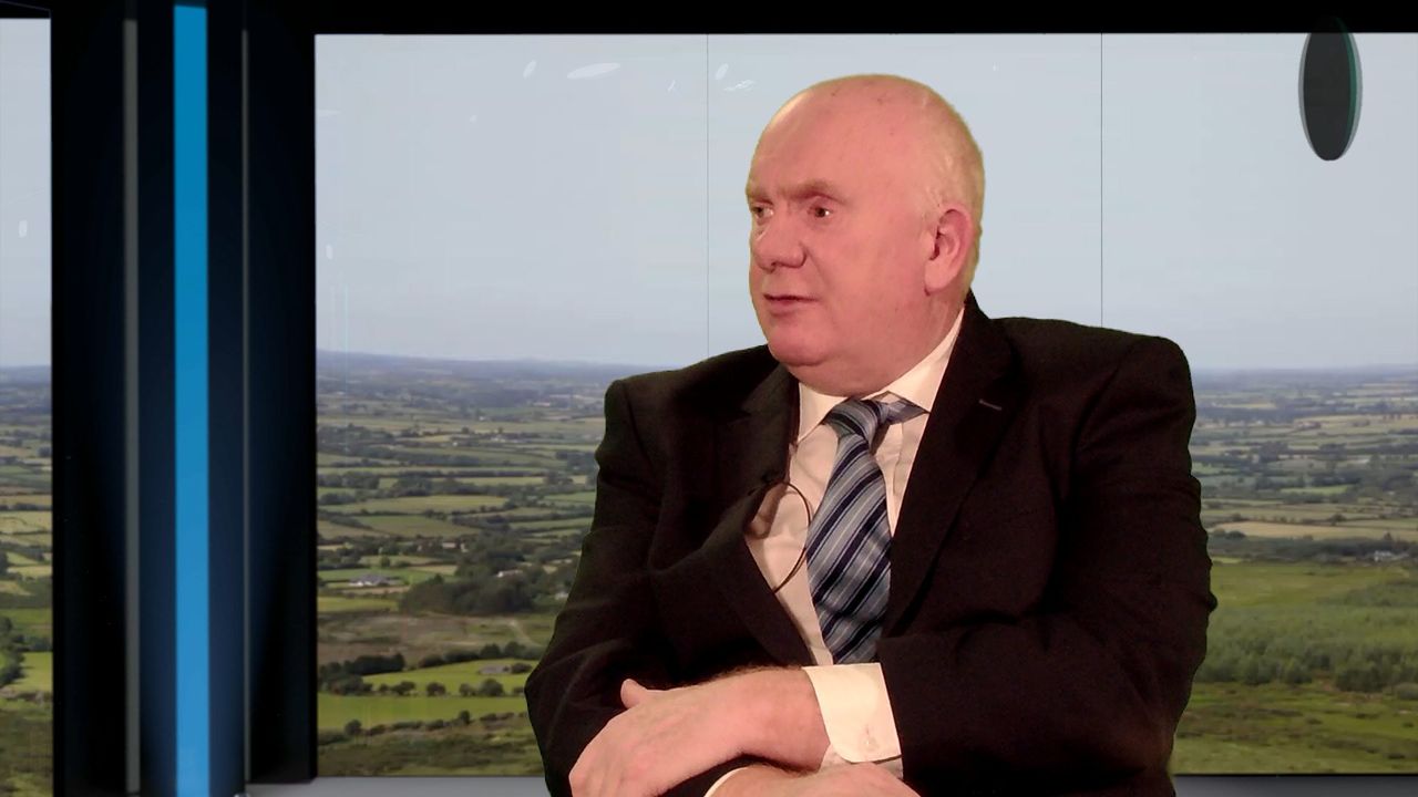 Coillte to appear at joint oireachtas meeting 'in coming weeks'