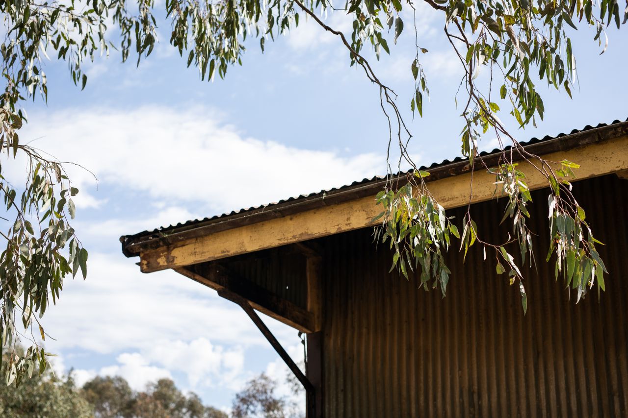 Dairy farmer fined after contractor dies in fall from shed roof