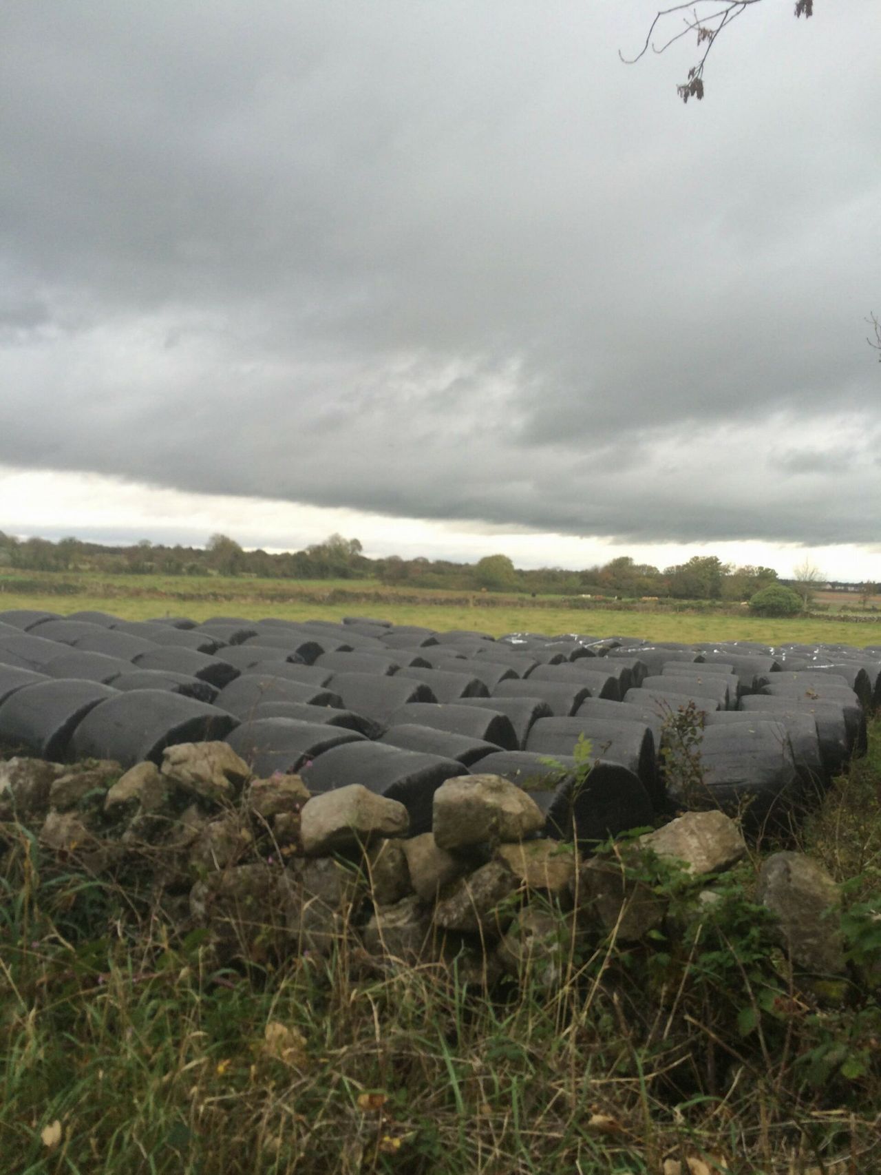 Up to 25mm of rain in the west but mostly dry this weekend - Met Eireann