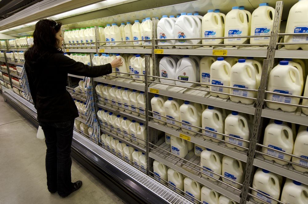 Danone predicts milk price rebound in the second half of 2015