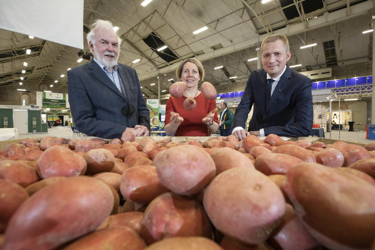 WPC declaration aims to grow sustainability profile of potatoes