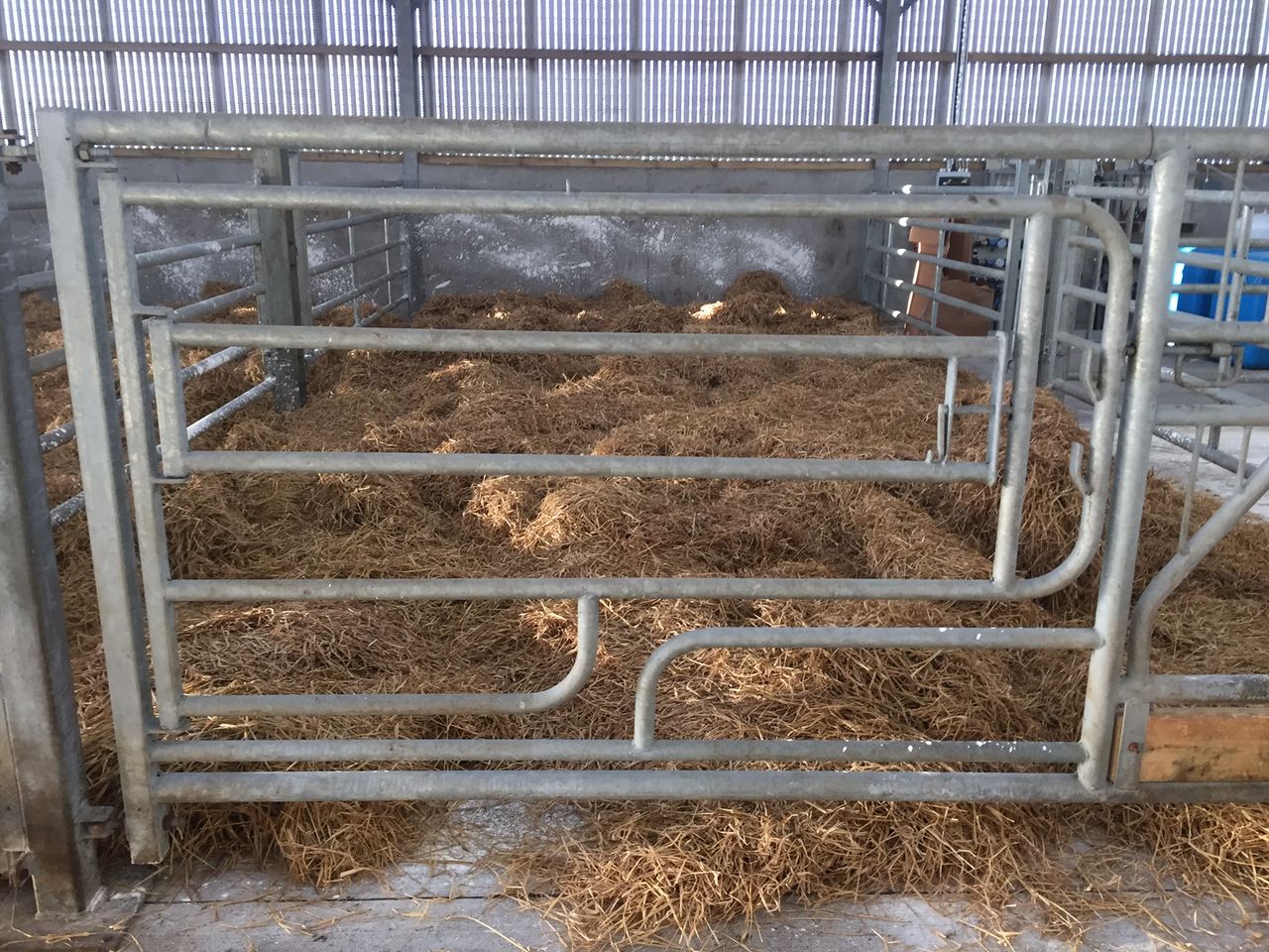 Continue to focus on hygiene this calving season