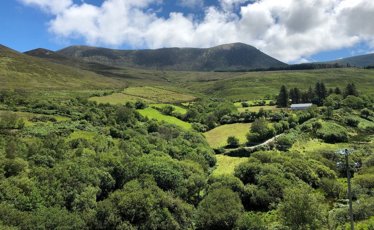 IFA reassures farmers by making 'clear' stance on CPOs
