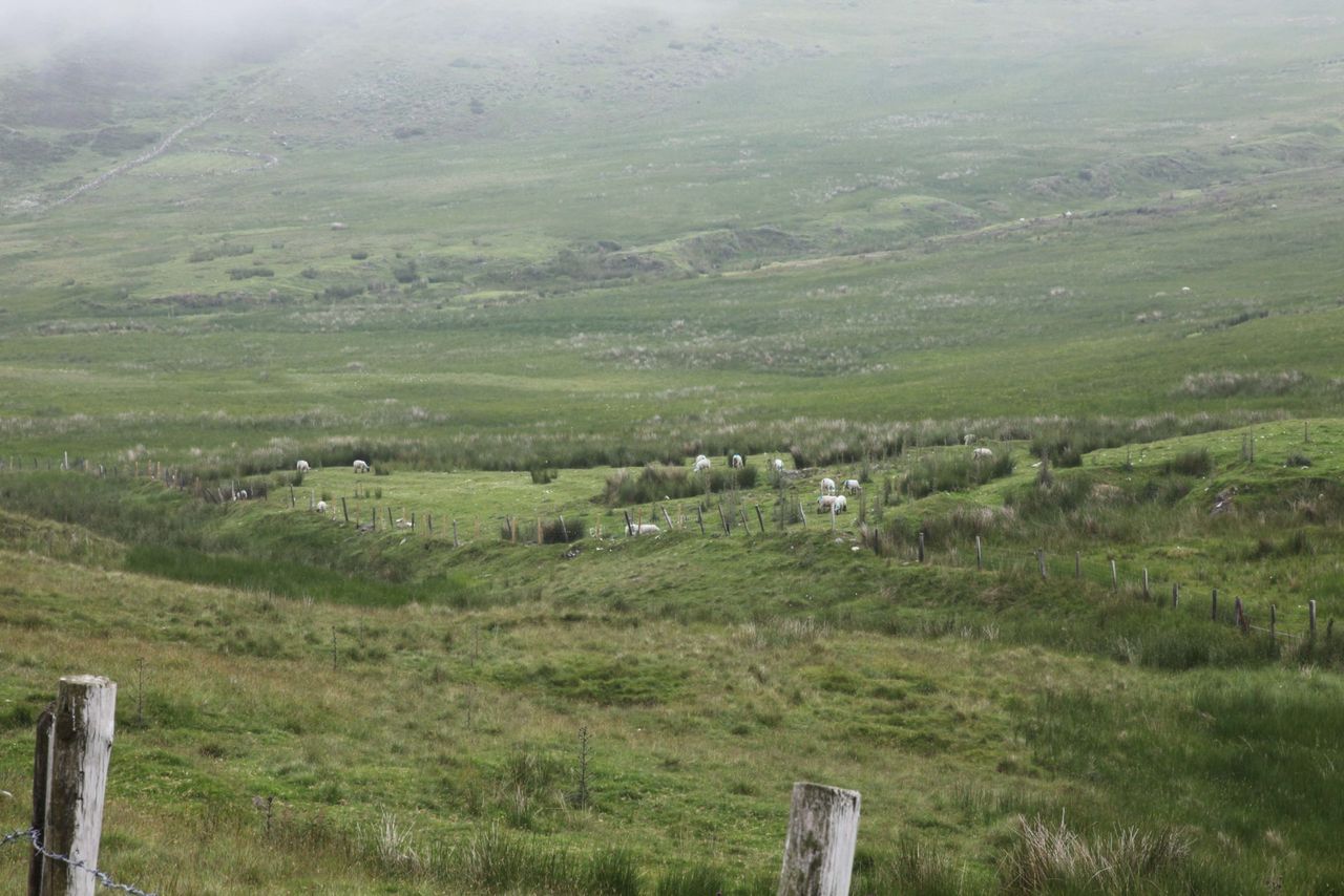 Predicted weather patterns indicate further water pollution from agriculture