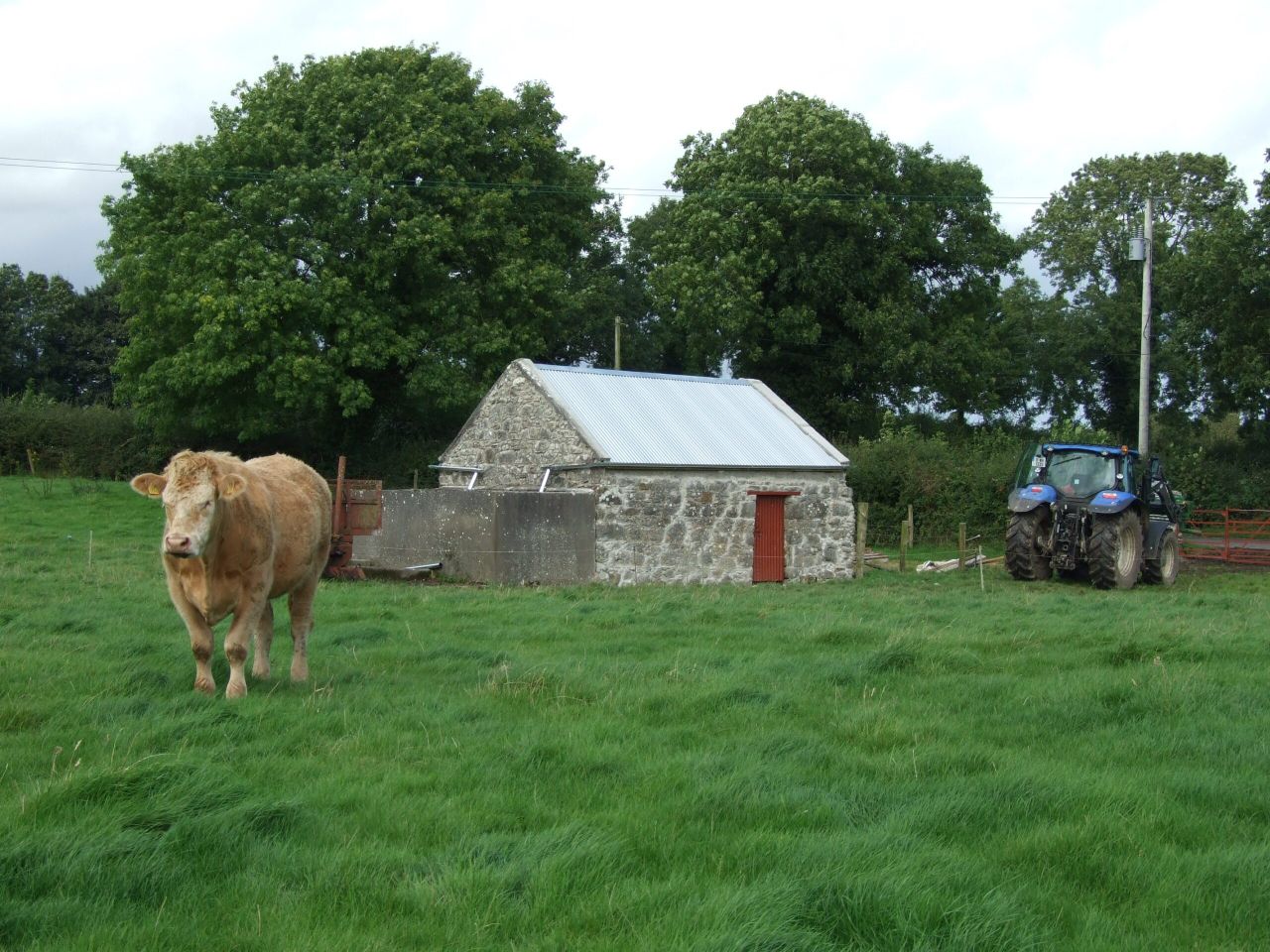 Heritage Week events for Irish farms