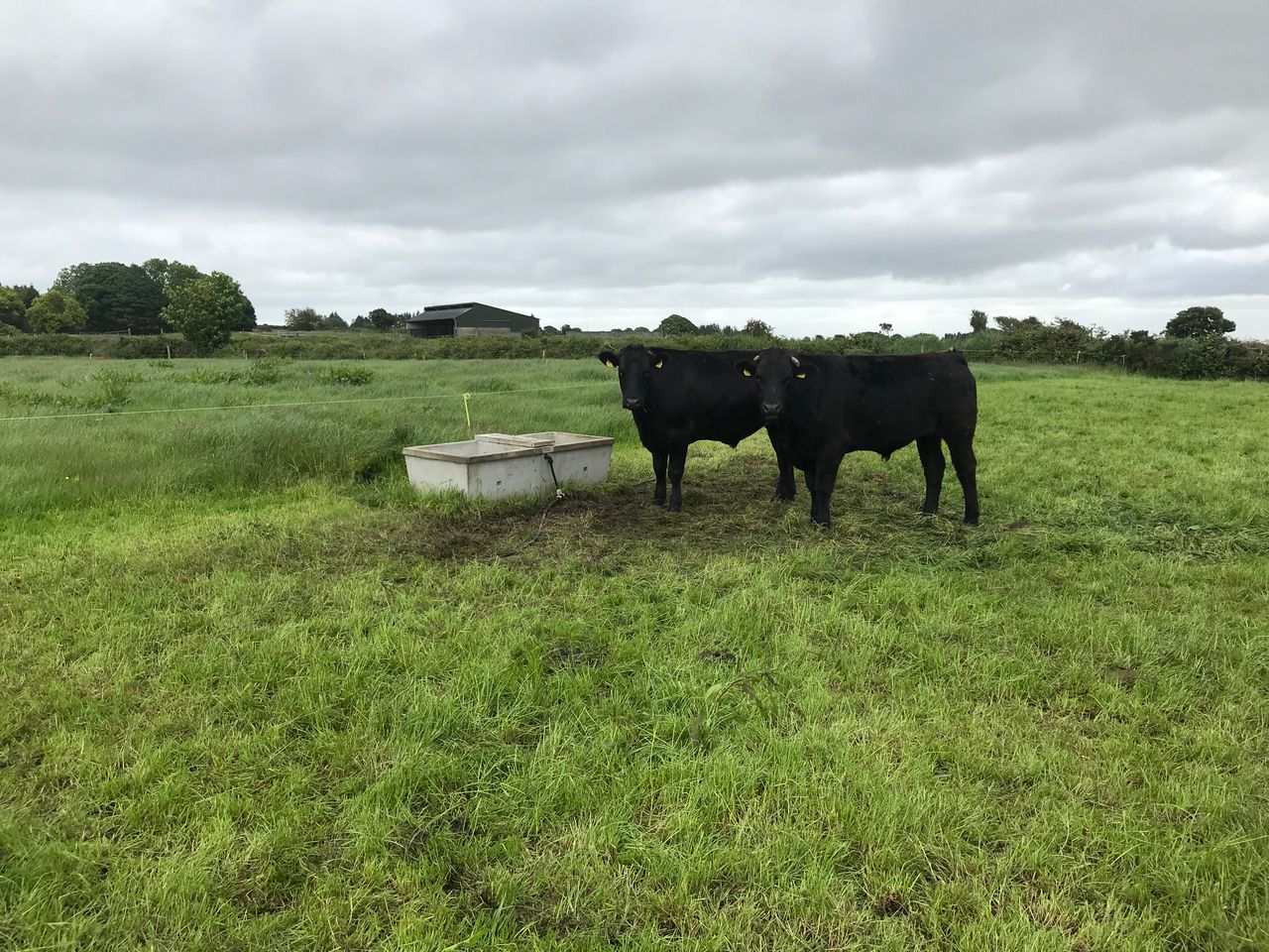 Changing strategy and putting a plan in place in Co. Mayo