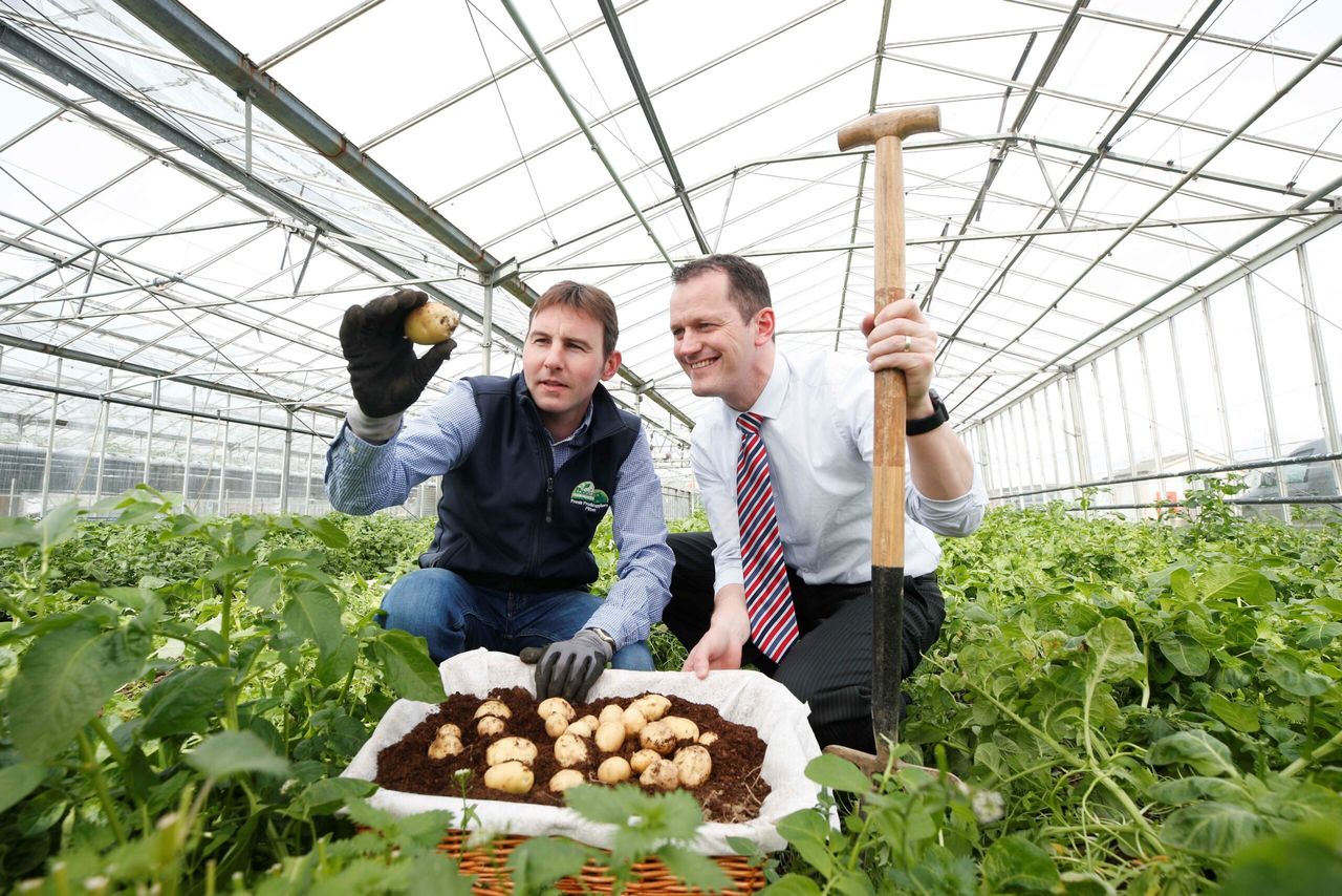 New season spuds survive storms and snow to surface at Aldi