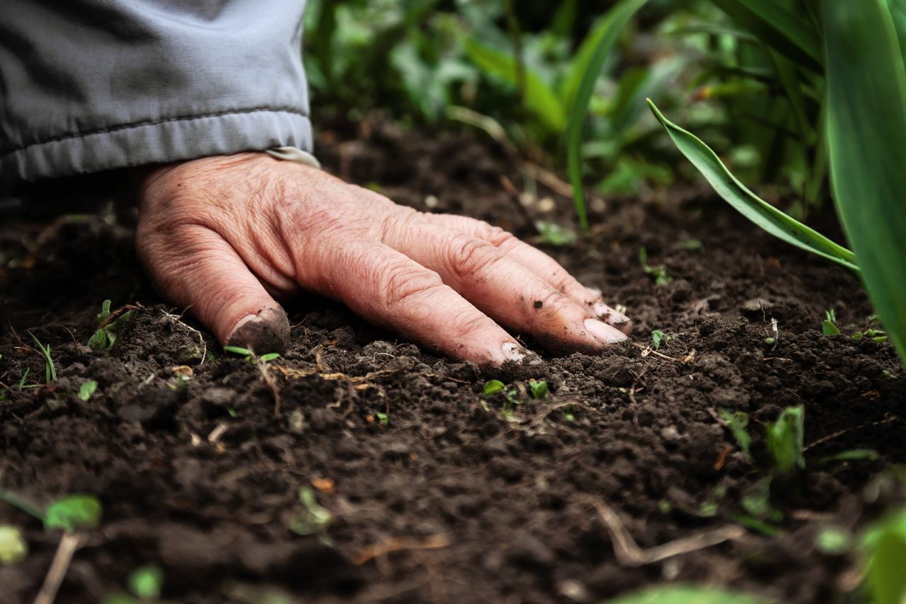 The release of nutrient reserves in soil – a PDA perspective