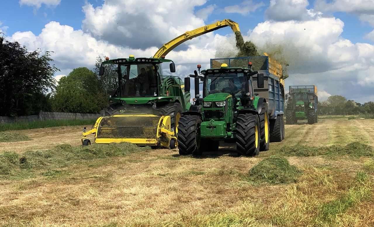 'You can't turn a cow's ear into a silk purse'; so you can't do it with silage