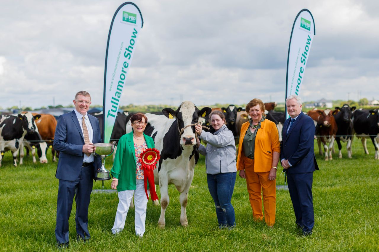Monday closing date for exhibitors as Tullamore Show launched