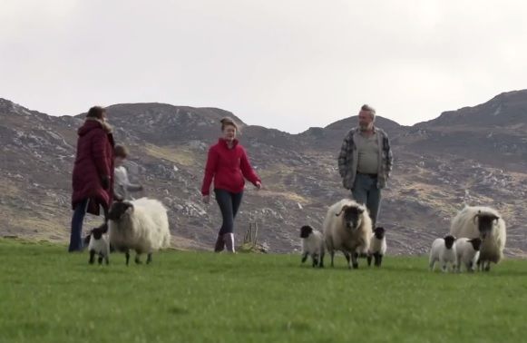 Family farms are one of the absolute core communities of Irish society