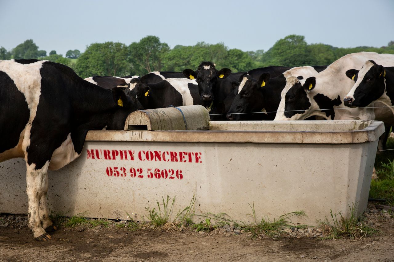 Do you know if your cows are getting enough water?