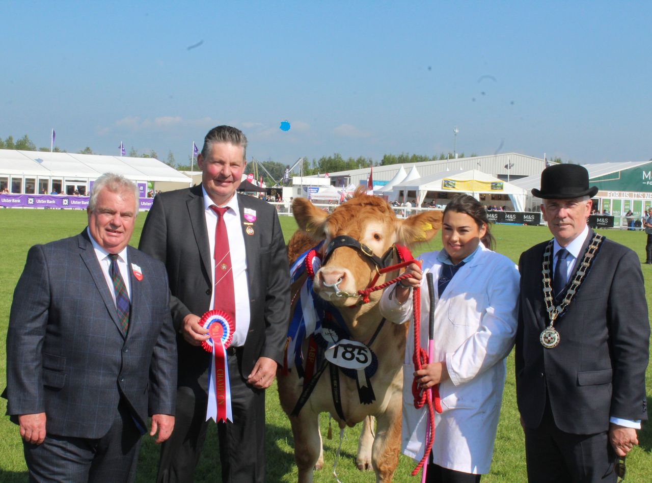 Trevor Shields is the Champion of Champions at Balmoral Show 2024
