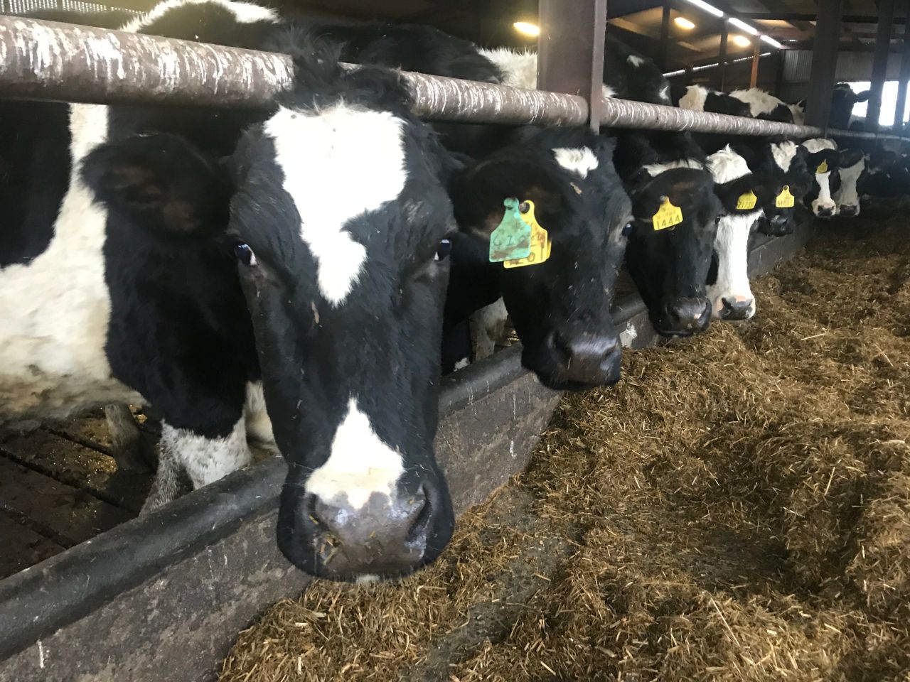 Family farms 'should not be regulated like industry' - Minister