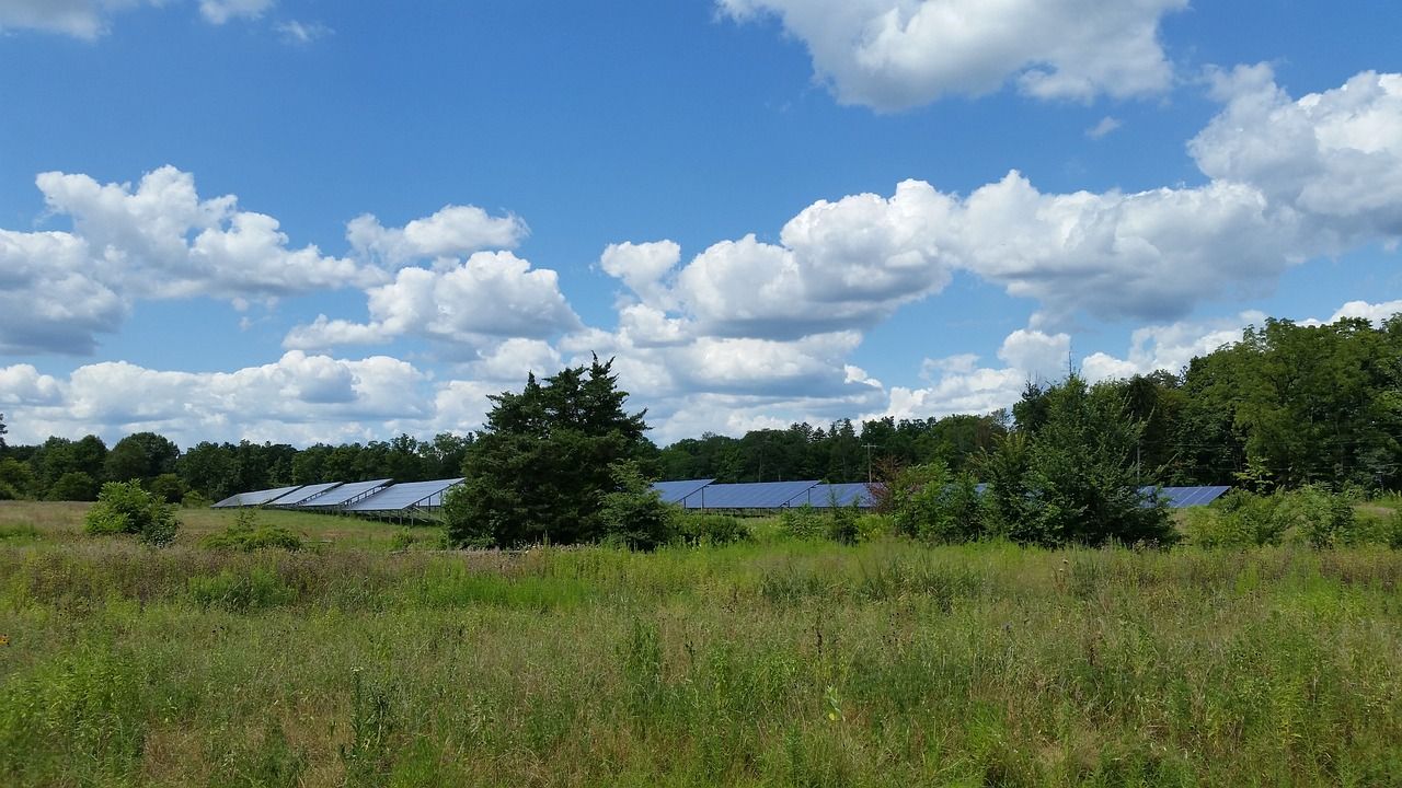 Almost €400m EU funding for biodiversity and climate projects