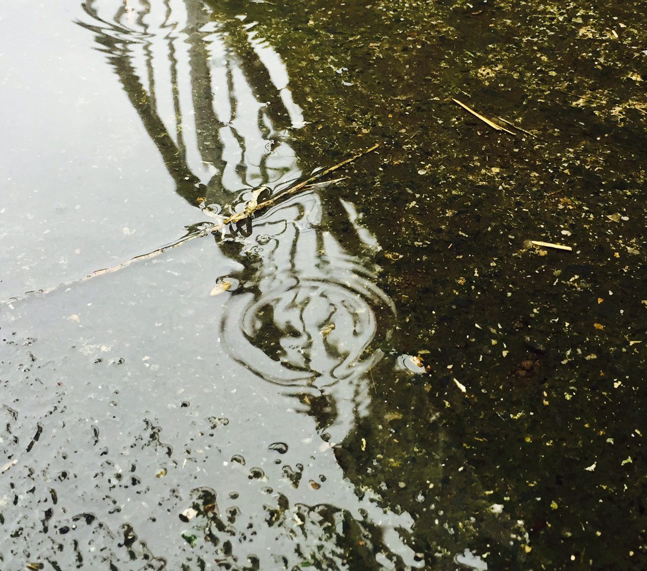 Gusts of 100km/h followed by wet, windy and cold weather - Met Eireann