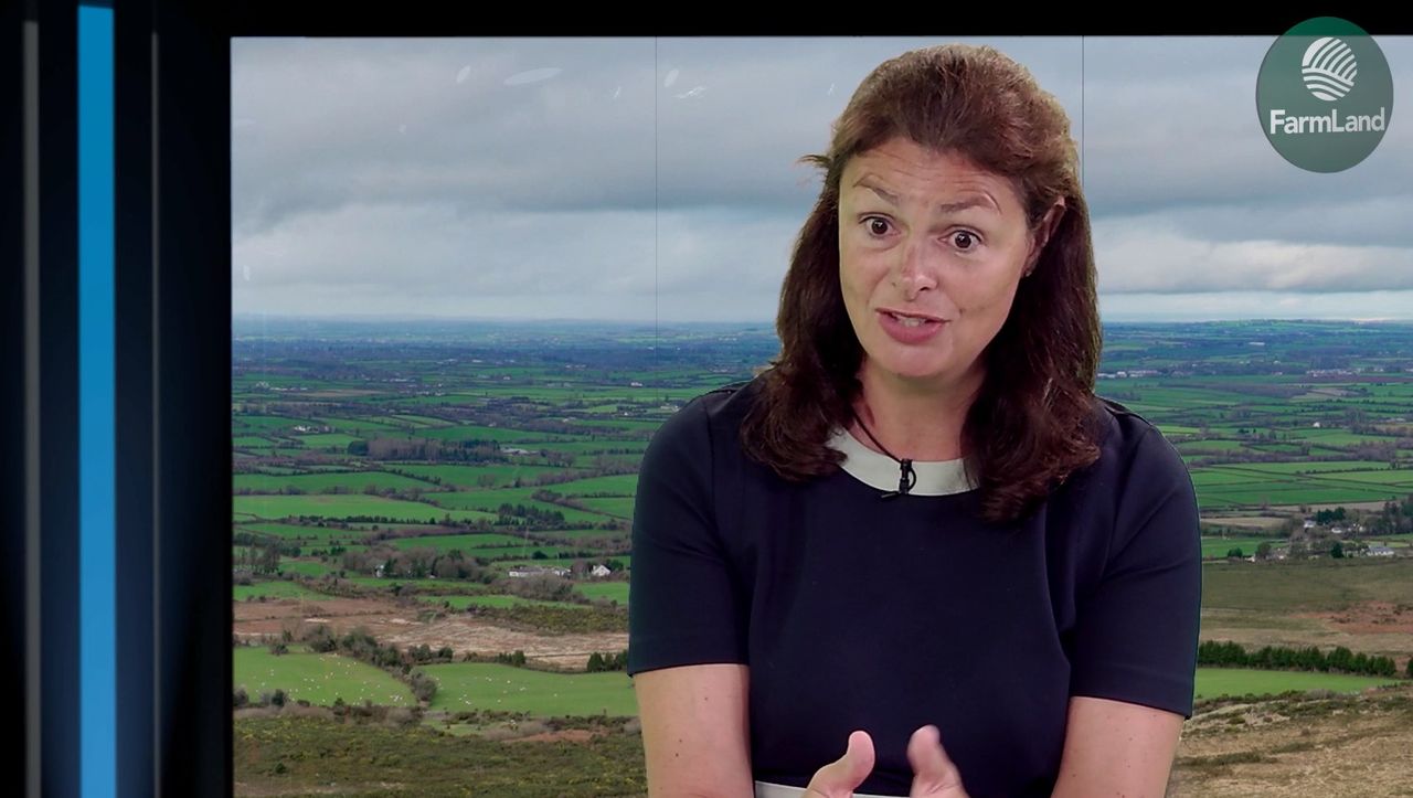 On the go: Irish dairy 'finding its voice' in the online world