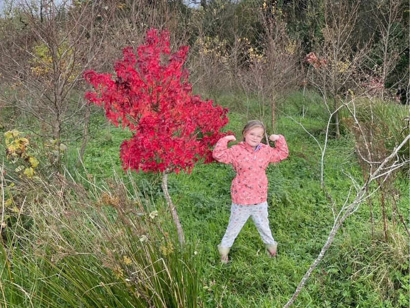 Meath man donates thousands of saplings nationwide