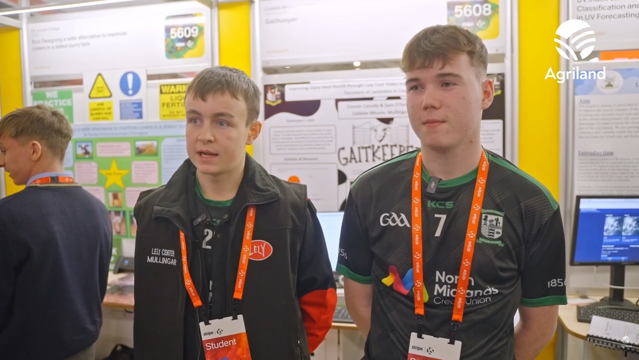 Watch: Students showcase a low-cost solution to detect lameness at Young Scientist 2026