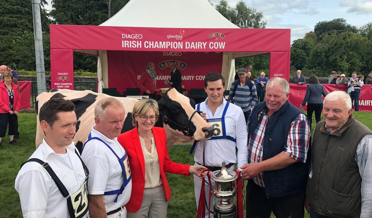 'Megan' goes one better as Diageo Baileys Champion Dairy Cow is crowned