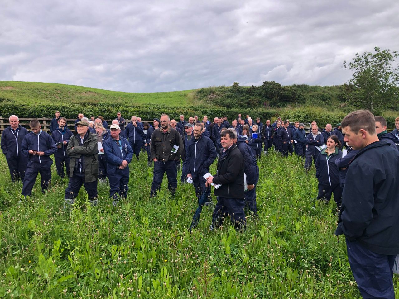 Attendees at the farm walk on the Turley farm