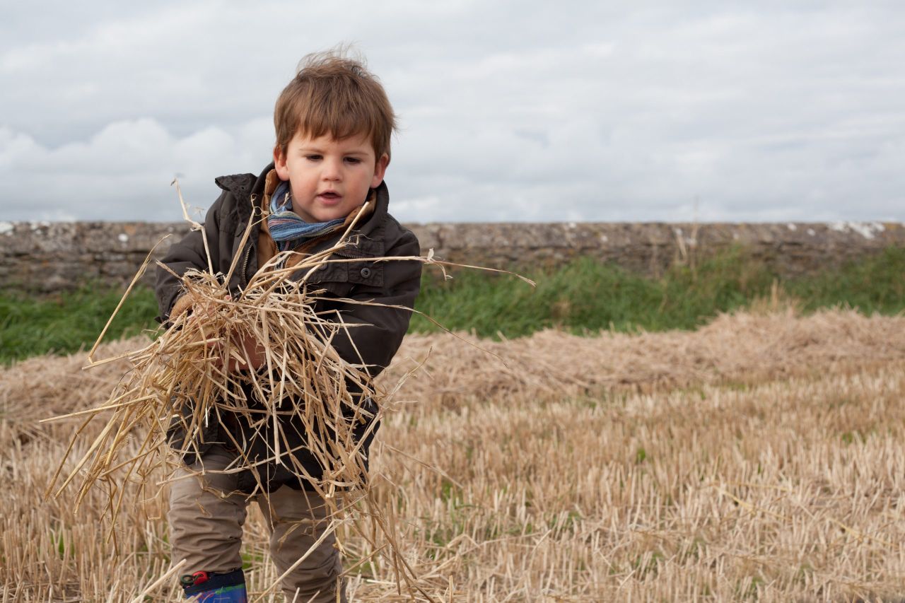 NI family farms could face 'significant tax liabilities' - accountants