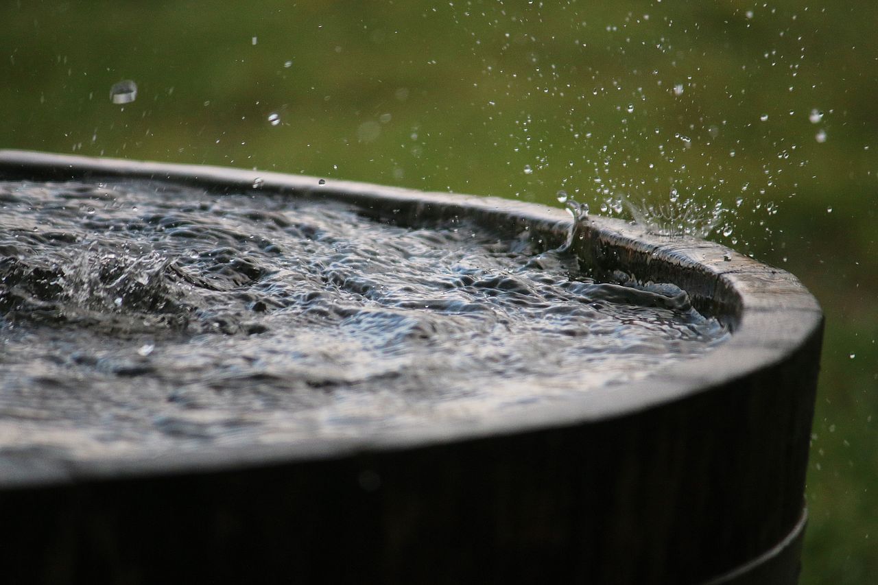 Met Éireann: Mild with more unsettled weather this week