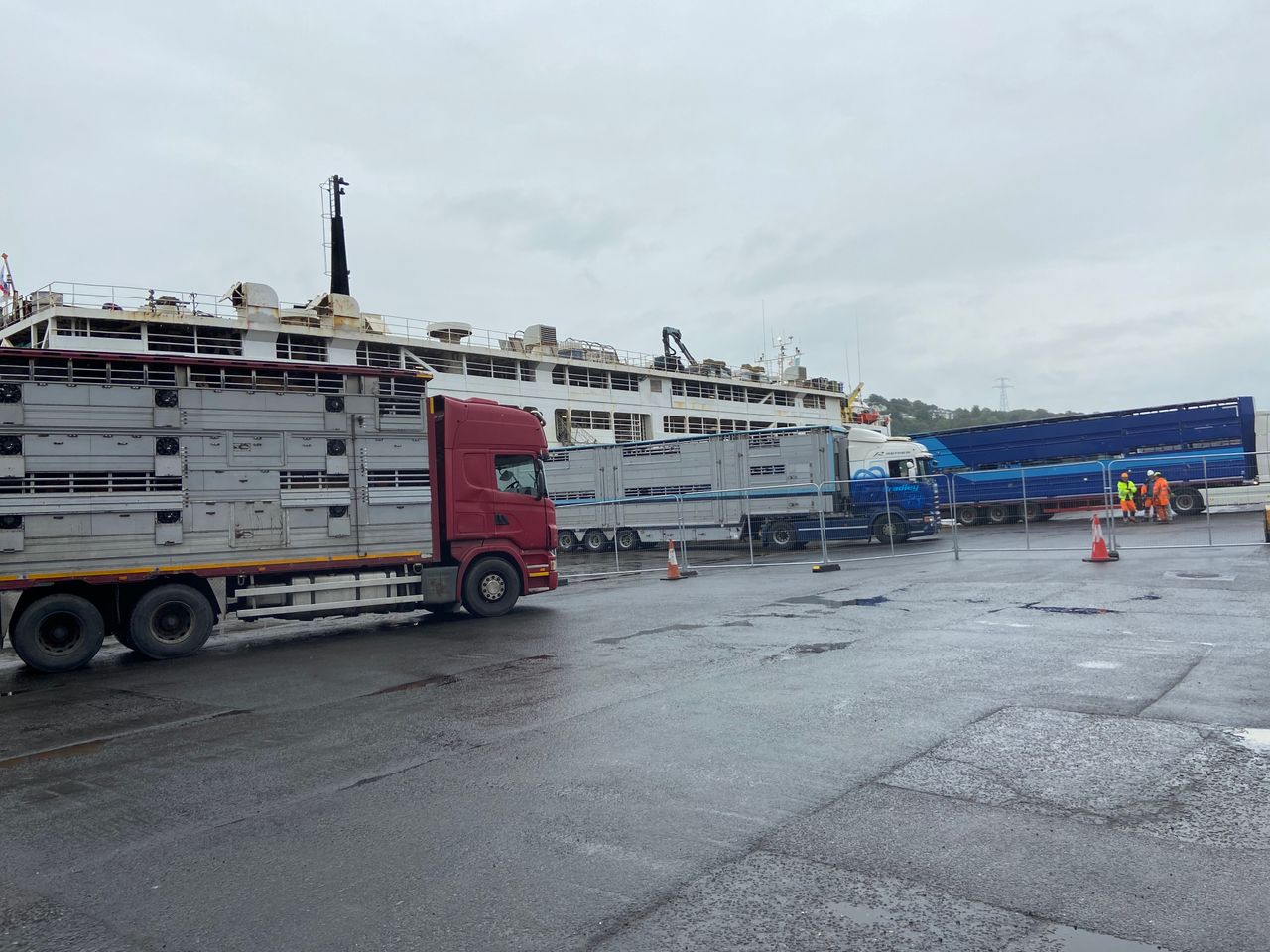 Libyan export ship departs Waterford without bulls