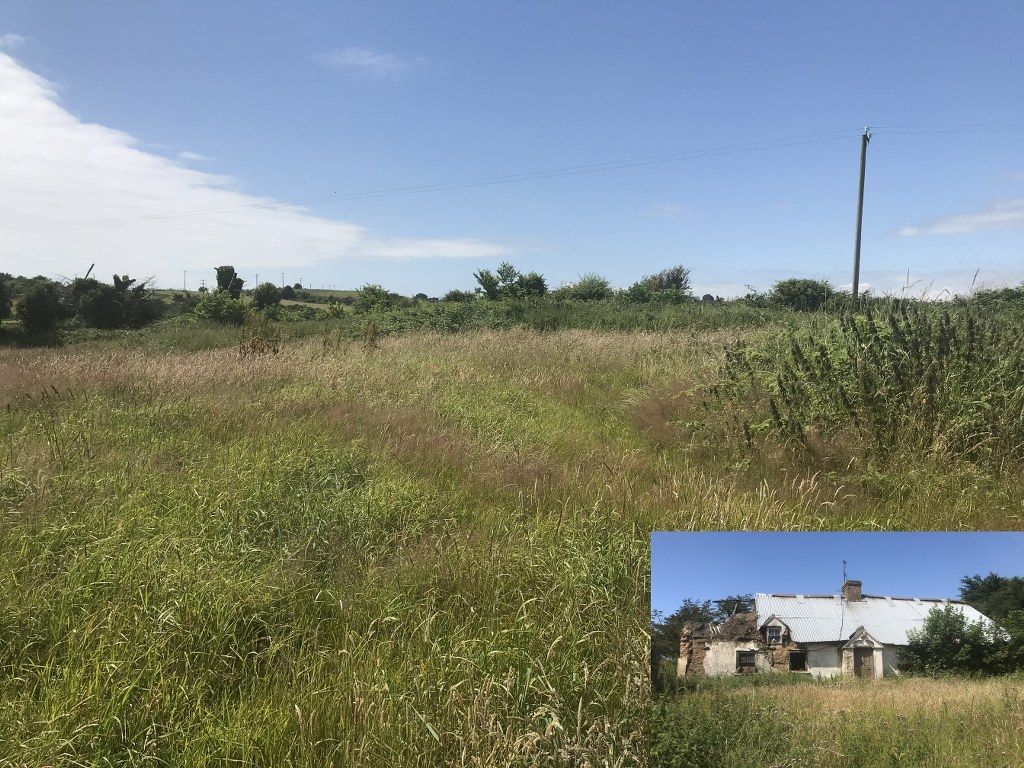 Blackwater roadside property set for online auction