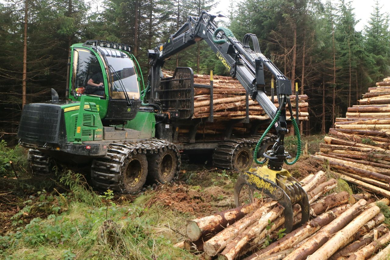 What’s wrong with planting lots of trees in Co. Leitrim?