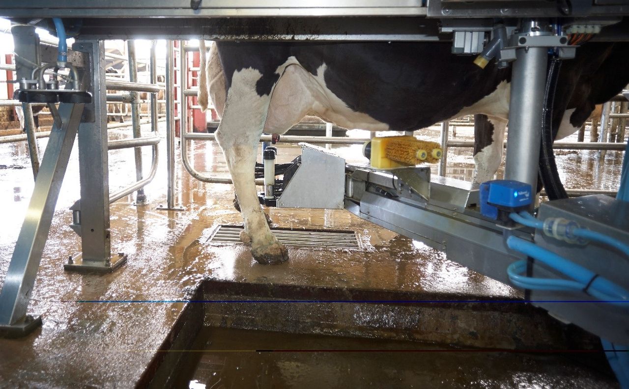 ICMSA: More features to be developed for interactive Milk Price Tracker