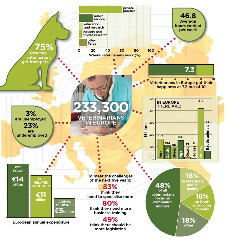 Responsible use of medicines part of EU vets' five-year plan