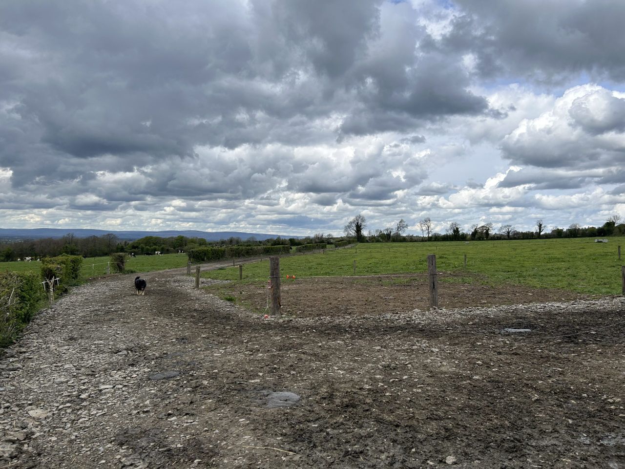 Roadways and surfaces need to be maintained ahead of breeding