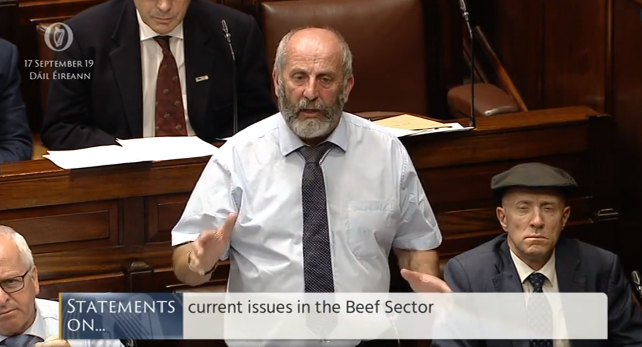 'Calleary's punishment doesn't fit the crime' - Healy-Rae