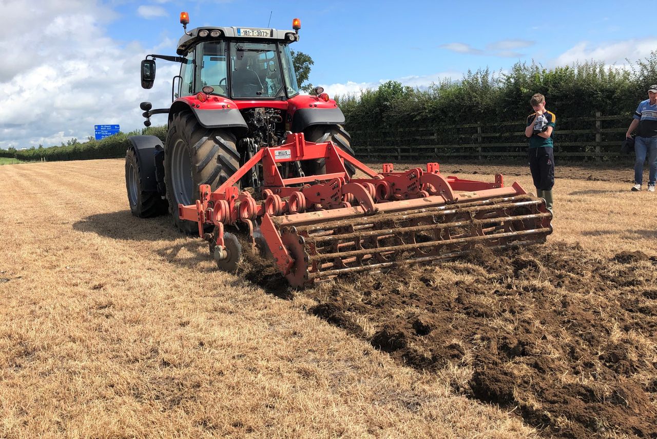 Planting cereals after long-term permanent pasture