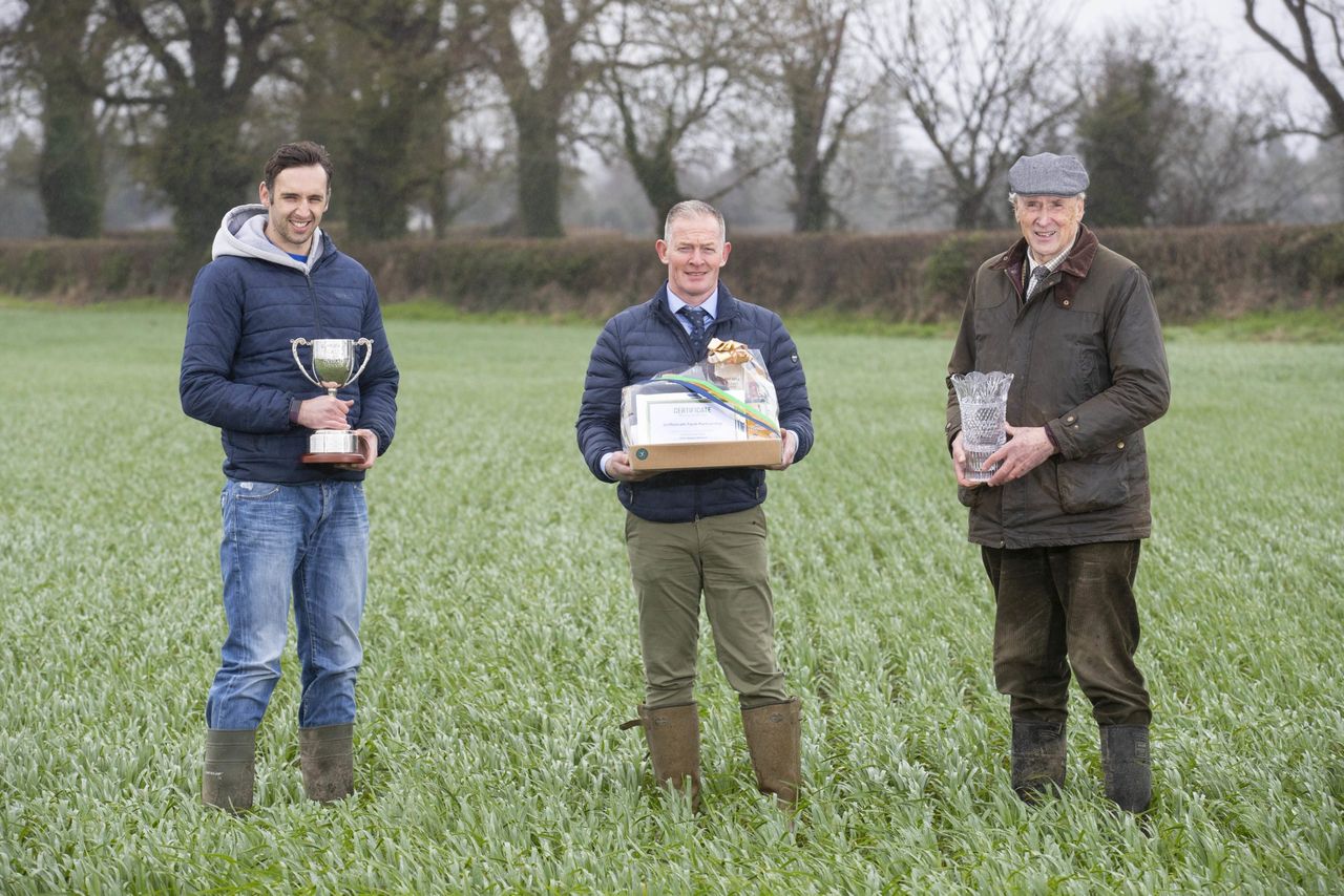 Glanbia Ireland agronomist Peter O'Grady presents the 2021 Grain Supplier of the Year and Food Grade Oats awards to Luke (L) and Matt Dempsey (R) on their farm at Celbridge, Co. Kildare