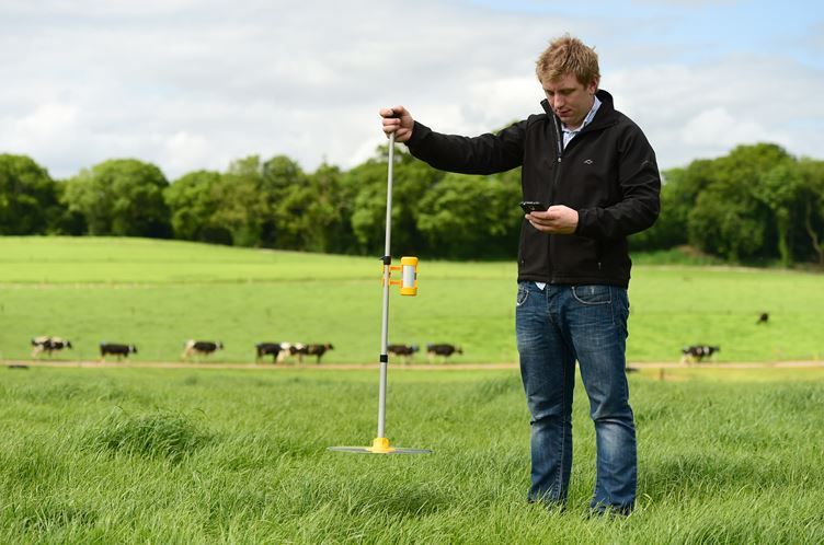 New grasshopper wins big at the National Dairy Show