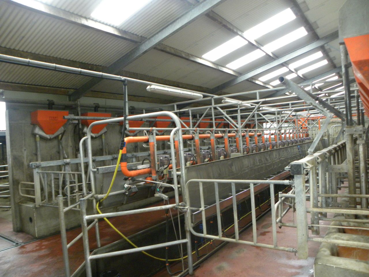 Farmers 'fully justified' in expecting August milk price to hold